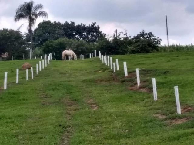 Sítio e chácara venda em Artur Nogueira