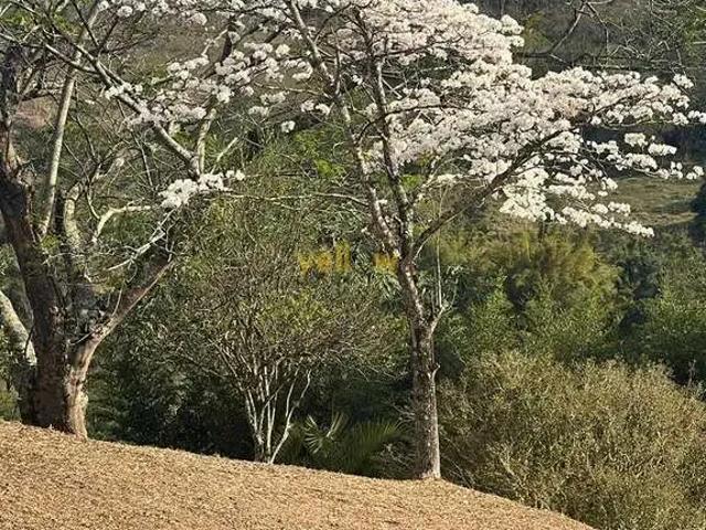 Sítio e chácara venda em Região Imediata de Birigui-Penápolis, Birigui