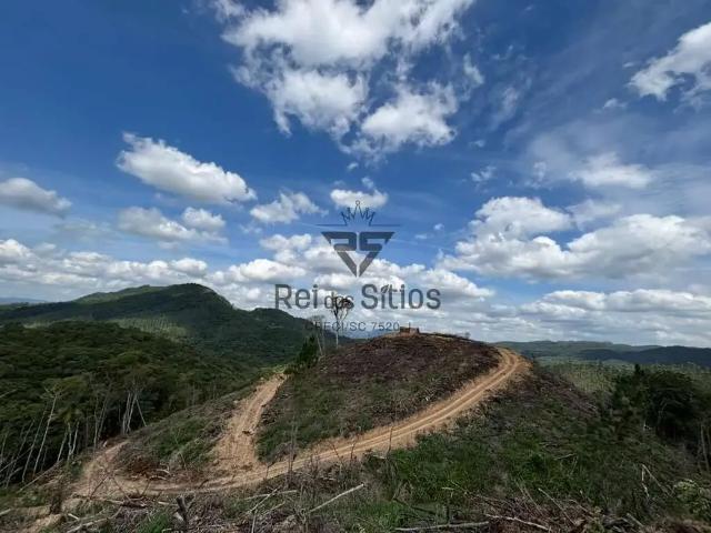Sítio e chácara venda em Região Geográfica Imediata de Blumenau, Ascurra
