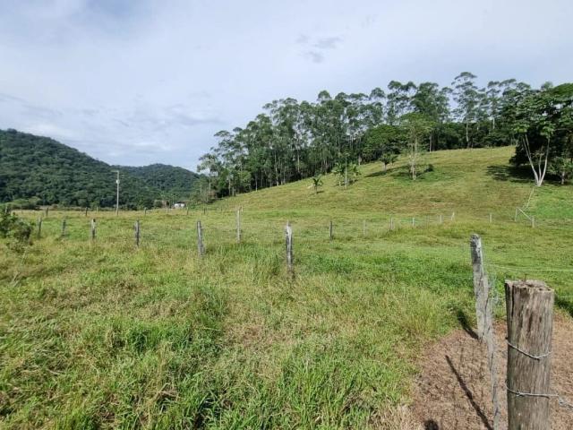 Sítio e chácara venda em Ascurra, Região Geográfica Intermediária de Blumenau