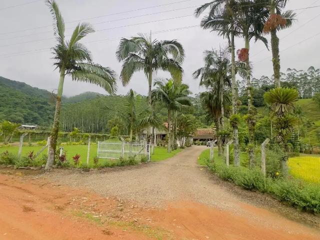 Sítio e chácara venda em Região Geográfica Imediata de Blumenau, Ascurra