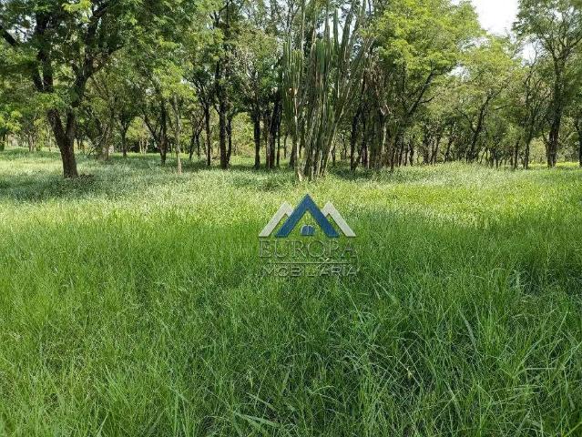 Sítio e chácara venda em Região Geográfica Imediata de Londrina, Assaí