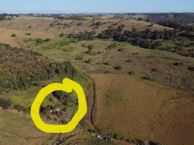 Sítio e chácara venda em Região Geográfica Imediata de Londrina, Assaí