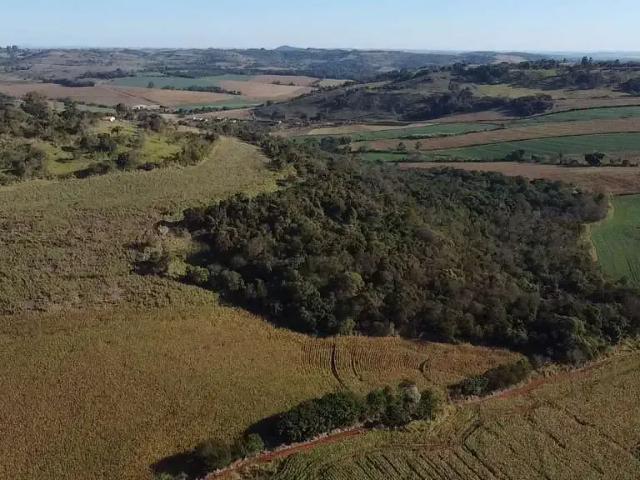Sítio e chácara venda em Região Geográfica Imediata de Londrina, Assaí