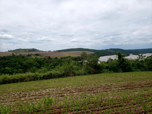 Sítio e chácara venda em Região Geográfica Imediata de Londrina, Assaí