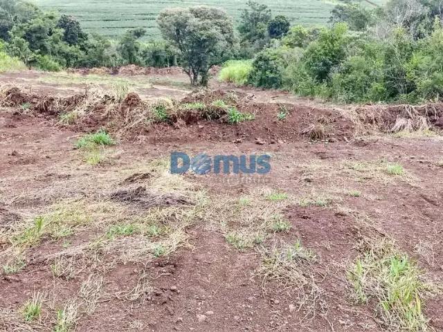 Sítio e chácara venda em Região Geográfica Imediata de Londrina, Assaí