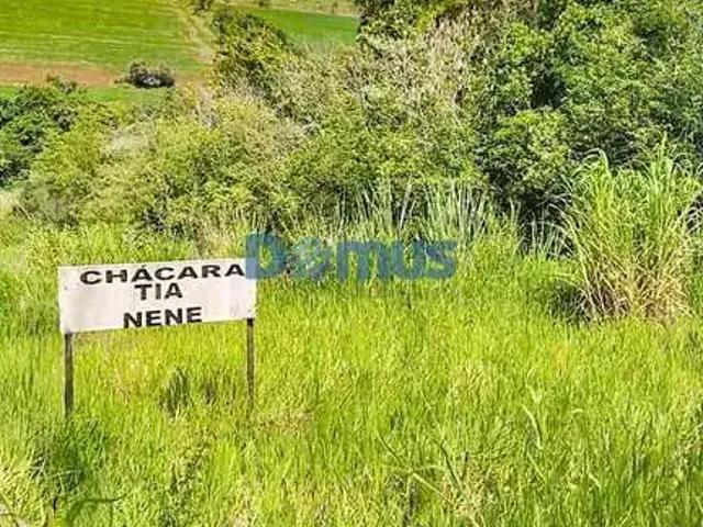 Sítio e chácara venda em Região Geográfica Imediata de Londrina, Assaí