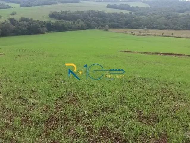 Sítio e chácara venda em Região Geográfica Imediata de Londrina, Assaí