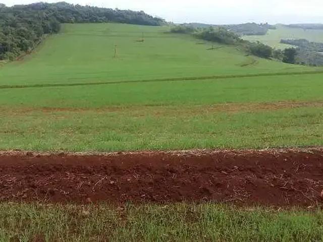 Sítio e chácara venda em Região Geográfica Imediata de Londrina, Assaí