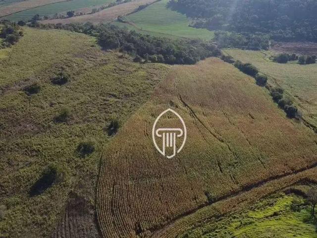 Sítio e chácara venda em Região Geográfica Imediata de Londrina, Ibiporã