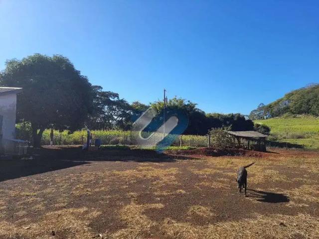 Sítio e chácara venda em Região Geográfica Imediata de Londrina, Assaí
