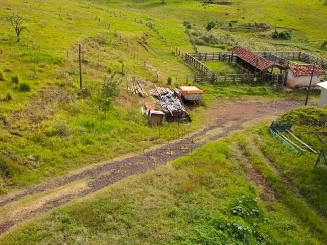 Sítio e chácara venda em Região Geográfica Imediata de Londrina, Assaí