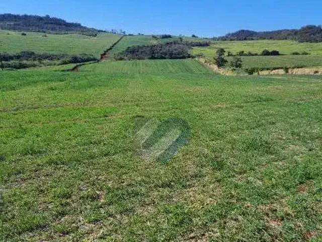 Sítio e chácara venda em Região Geográfica Imediata de Cuiabá, Jangada