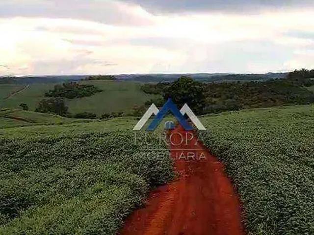 Sítio e chácara venda em Região Geográfica Imediata de Londrina, Assaí