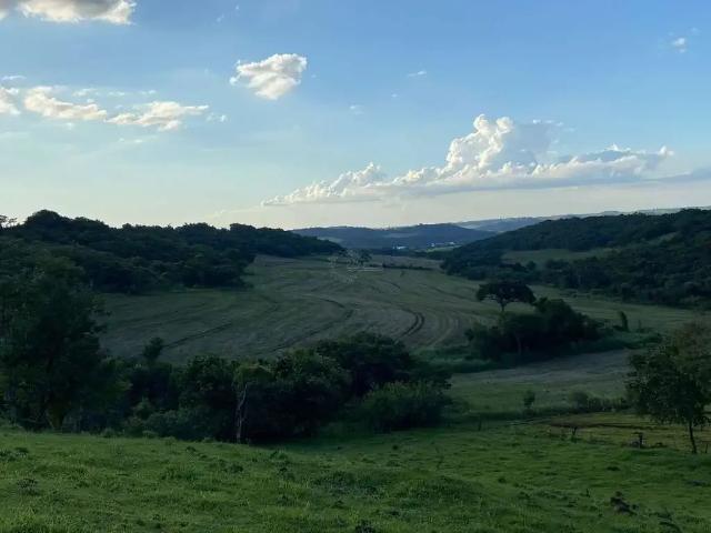 Sítio e chácara venda em Região Geográfica Imediata de Maringá, Maringá