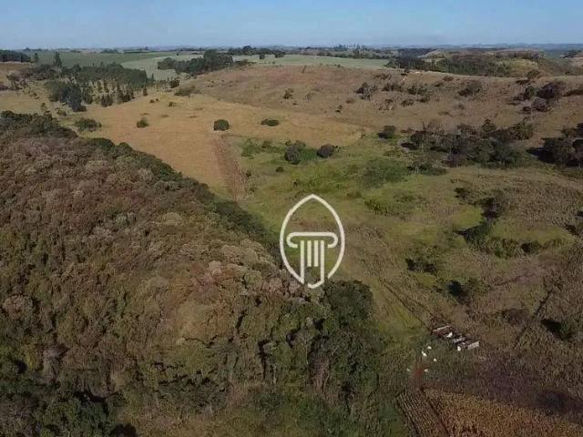 Sítio e chácara venda em Região Geográfica Imediata de Londrina, Ibiporã