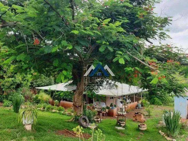 Sítio e chácara venda em Assaí, Paraná