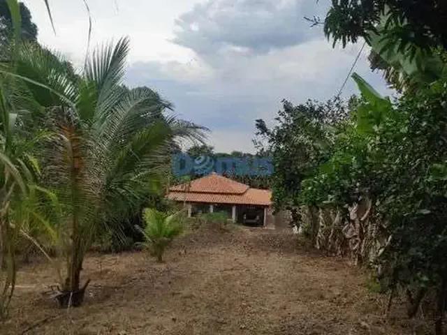 Sítio e chácara venda em Região Geográfica Imediata de Londrina, Assaí