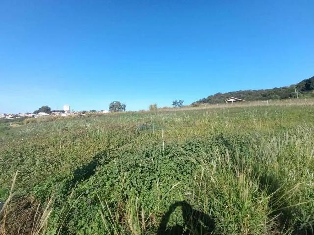 Sítio e chácara venda em Região Geográfica Imediata de Maringá, Maringá