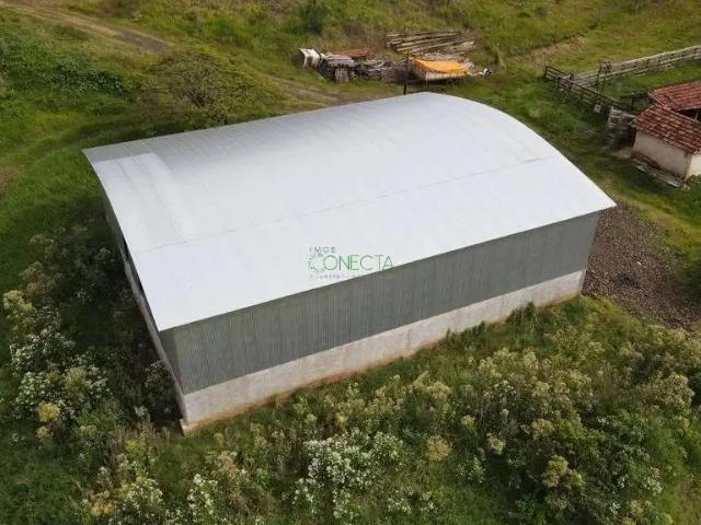 Sítio e chácara venda em Região Geográfica Imediata de Maringá, Maringá