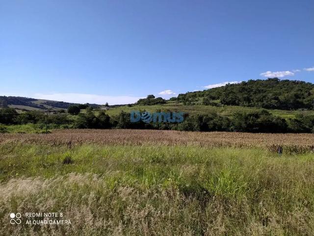 Sítio e chácara venda em Região Geográfica Imediata de Londrina, Assaí