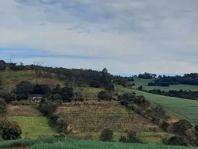 Sítio e chácara venda em Região Geográfica Imediata de Maringá, Maringá