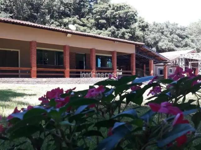 Sítio e chácara venda em Região Geográfica Imediata de Londrina, Assaí