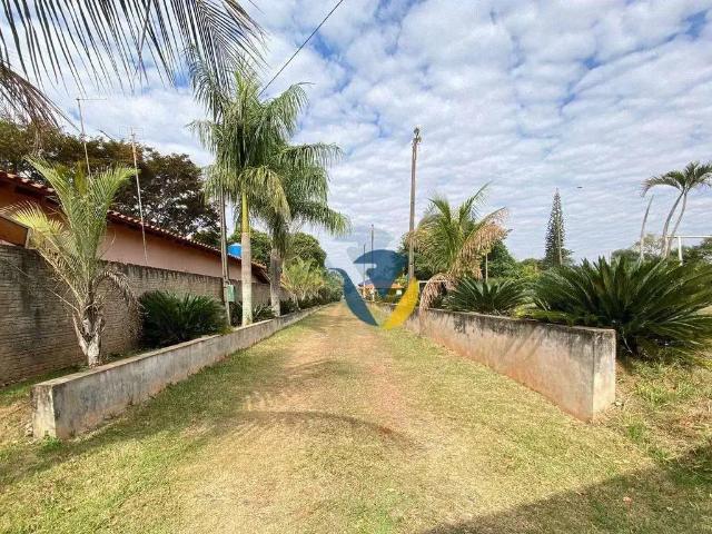 Sítio e chácara venda em Região Imediata de Assis, Assis