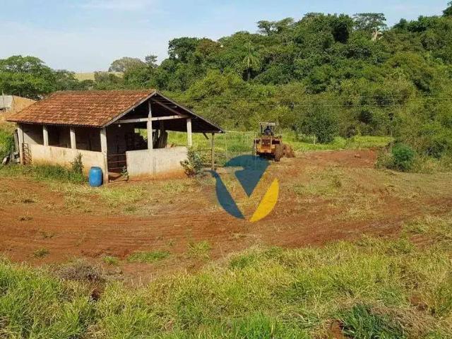 Sítio e chácara venda em Região Imediata de Assis, Assis