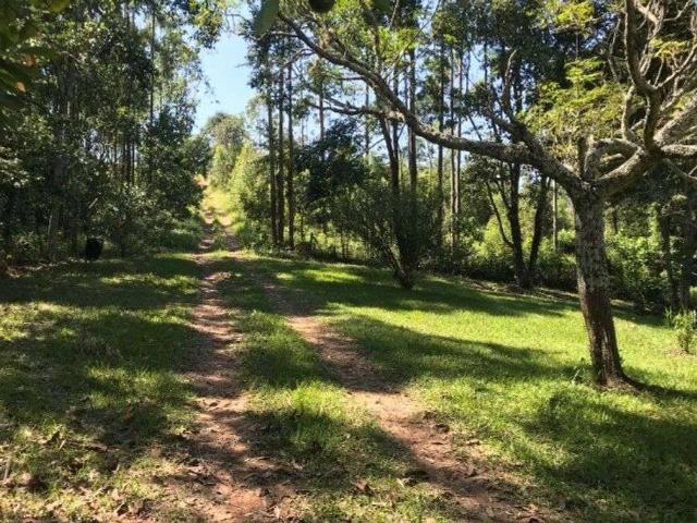 Sítio e chácara venda em Atibaia