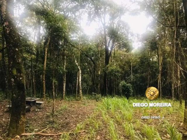 Sítio e chácara venda em Região Imediata de Bragança Paulista, Região Metropolitana de São Paulo