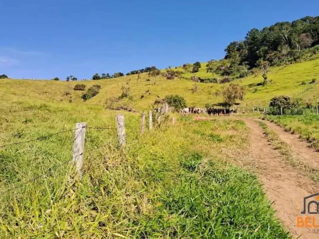 Sítio e chácara venda em Atibaia