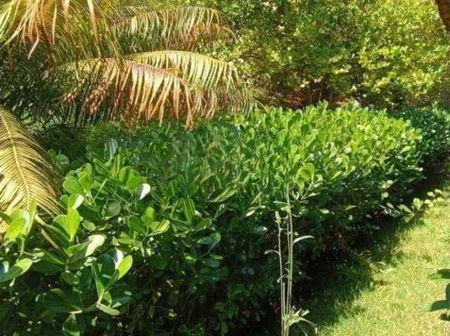 Sítio e chácara venda em Região Imediata de Bragança Paulista, Atibaia