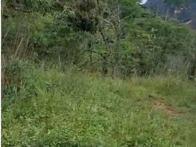 Sítio e chácara venda em Atílio Vivácqua, Região Geográfica Intermediária de Cachoeiro de Itapemirim