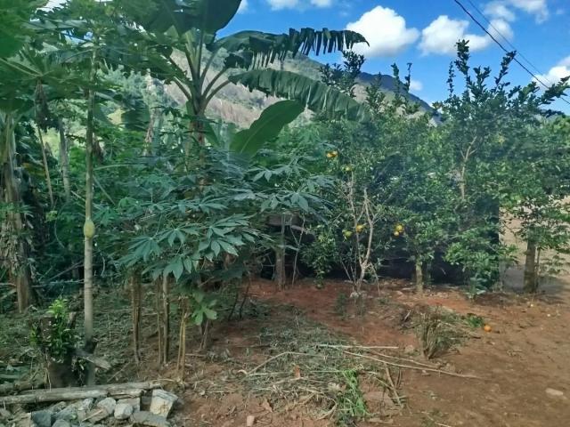 Sítio e chácara venda em Região Geográfica Imediata de Cachoeiro de Itapemirim, Atilio Vivacqua