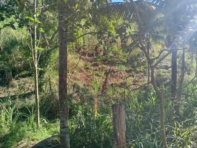 Sítio e chácara venda em Região Geográfica Imediata de Cachoeiro de Itapemirim, Atilio Vivacqua