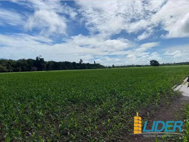 Sítio e chácara venda em Região Norte