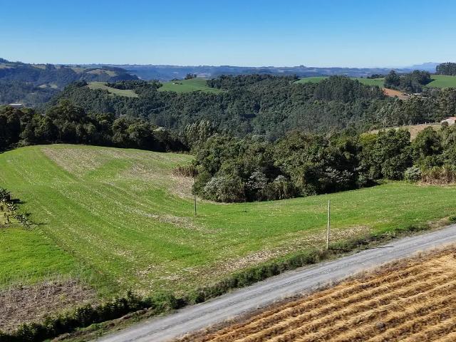 Sítio e chácara venda em Região Geográfica Imediata de Rio do Sul, Aurora