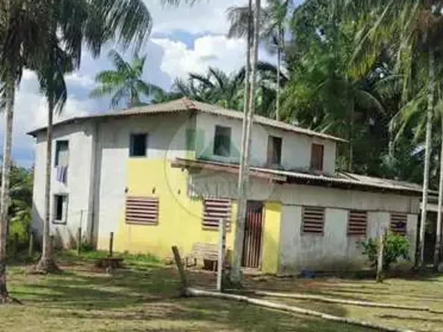 Sítio e chácara venda em Região Geográfica Imediata de Manaus, Autazes