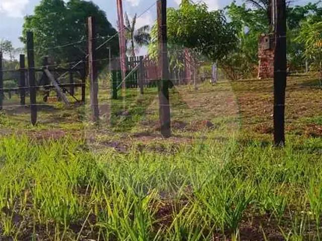 Sítio e chácara venda em Região Geográfica Imediata de Manaus, Autazes