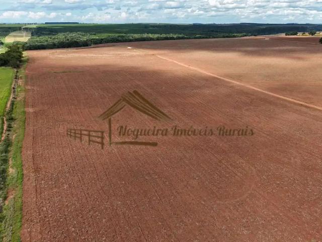 Sítio e chácara venda em Região Imediata de Avaré, Avaré