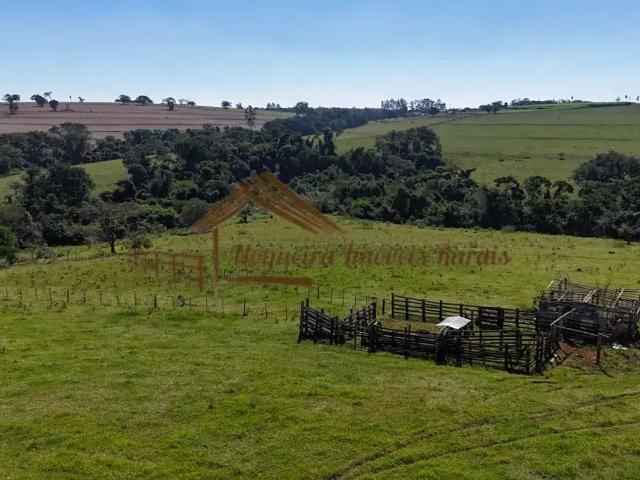 Sítio e chácara venda em Região Imediata de Avaré, Avaré