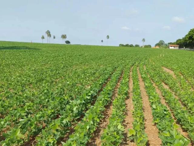 Sítio e chácara venda em Região Imediata de Avaré, Avaré