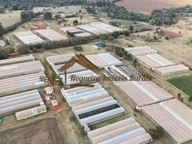 Sítio e chácara venda em Região Imediata de Avaré, Avaré