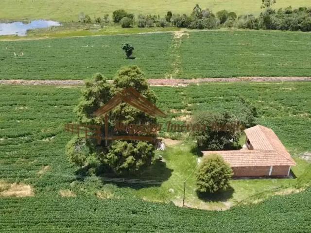 Sítio e chácara venda em Região Imediata de Avaré, Avaré