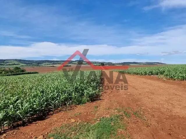 Sítio e chácara venda em Região Imediata de Avaré, Avaré
