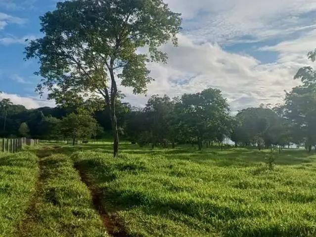 Sítio e chácara venda em Região Geográfica Imediata de Inhumas - Itaberaí - Anicuns, Avelinópolis