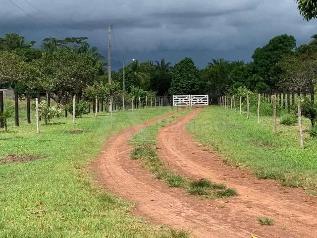 Sítio e chácara venda em Bacabal, Região Nordeste