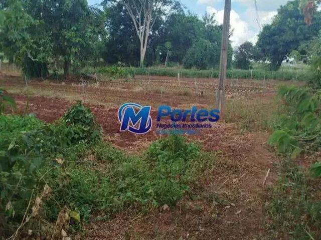 Sítio e chácara venda em Região Imediata de São José do Rio Preto, Região Metropolitana de São José do Rio Preto