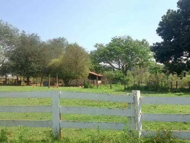 Sítio e chácara venda em Região Imediata de São José do Rio Preto, Região Metropolitana de São José do Rio Preto